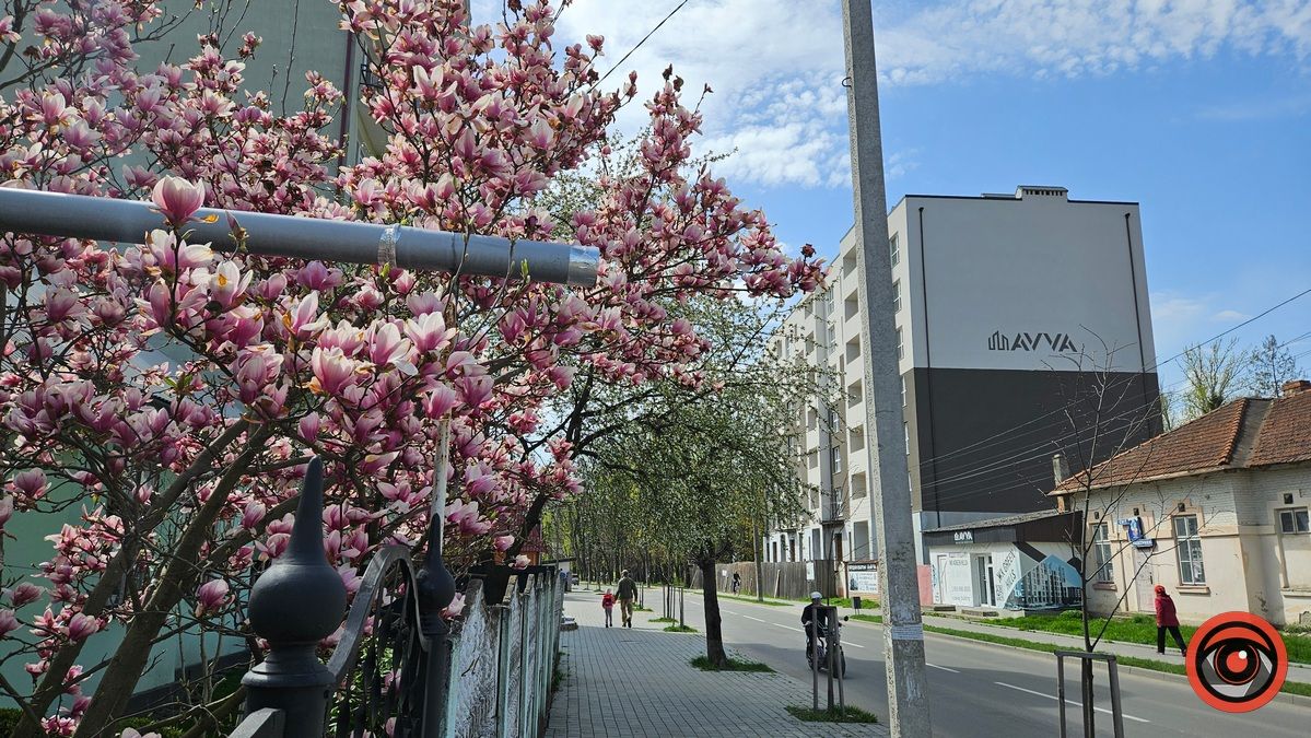 Коломия вдень та вночі: атмосферні фото 37