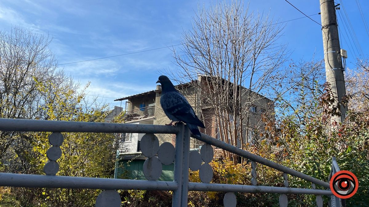 Коломия вдень та вночі: атмосферні фото 29