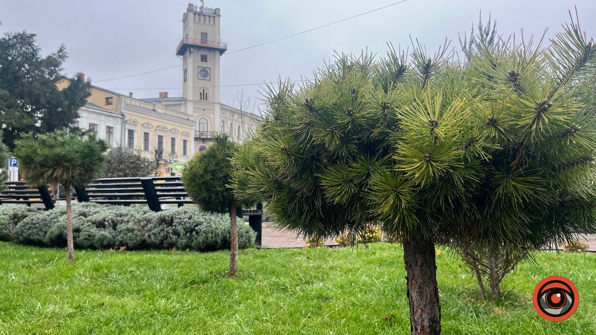 Коломия вдень та вночі: атмосферні фото 42