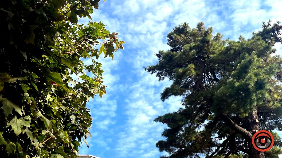 Коломия вдень та вночі: атмосферні фото 22