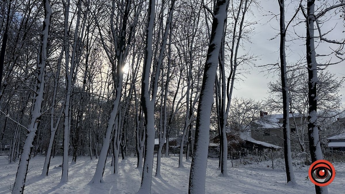 Коломия вдень та вночі: атмосферні фото 26