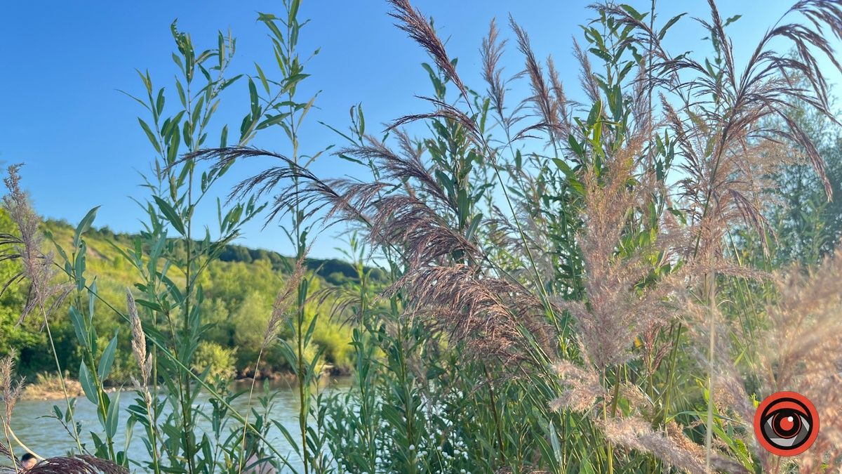 Коломия вдень та вночі: атмосферні фото 60