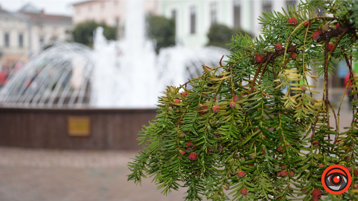 Коломия вдень та вночі: атмосферні фото 55