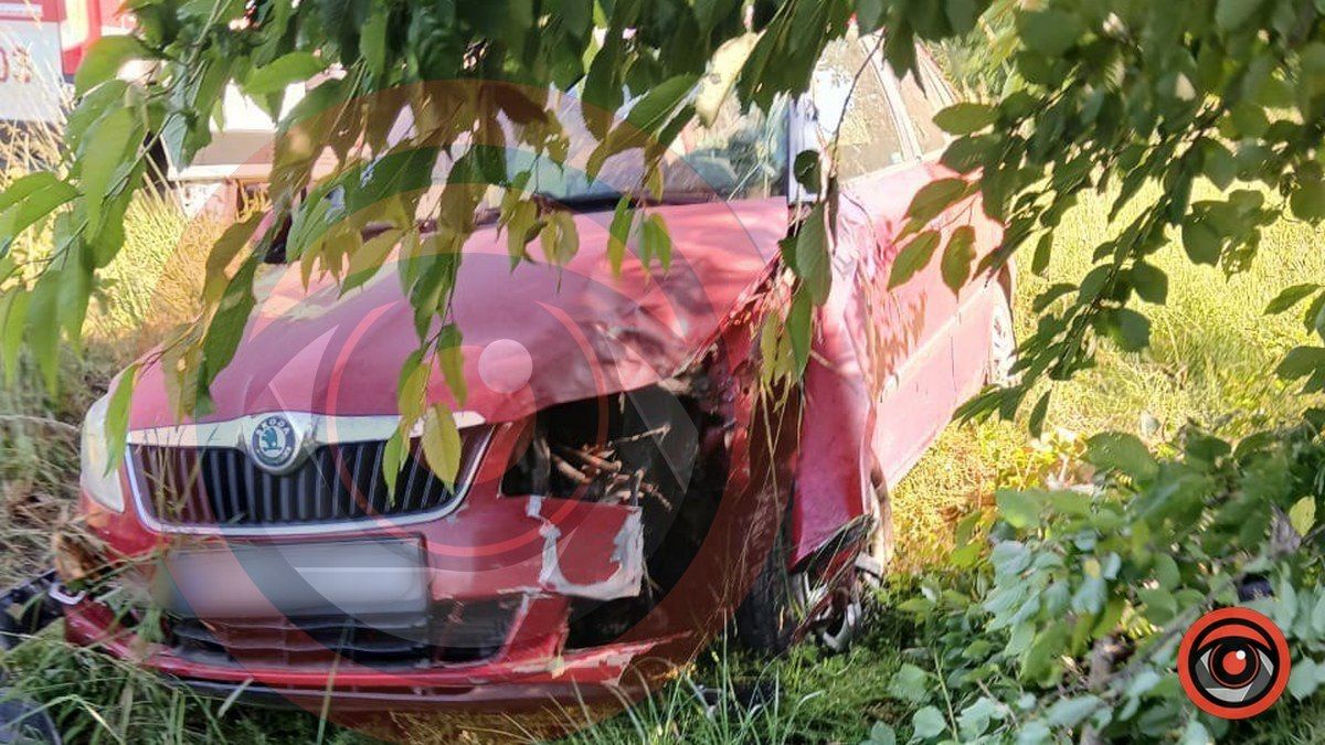 На Коломийщині авто злетіло в кювет 1