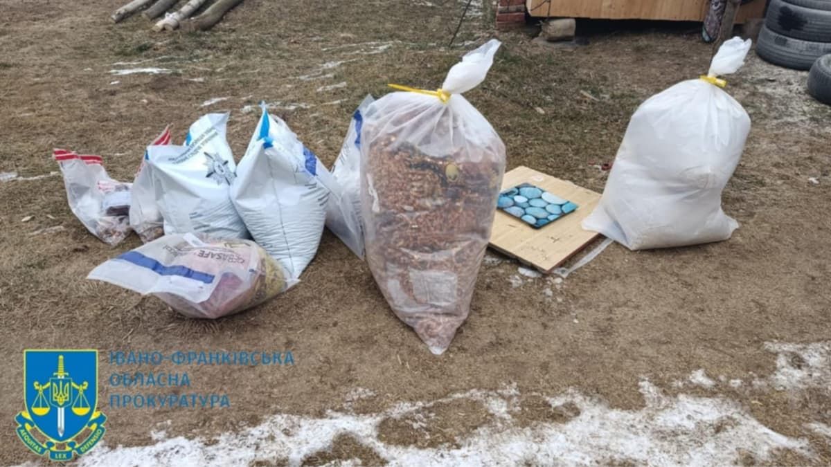 На Прикарпатті троє чоловіків налагодили нелегальний бізнес із продажу бурштину