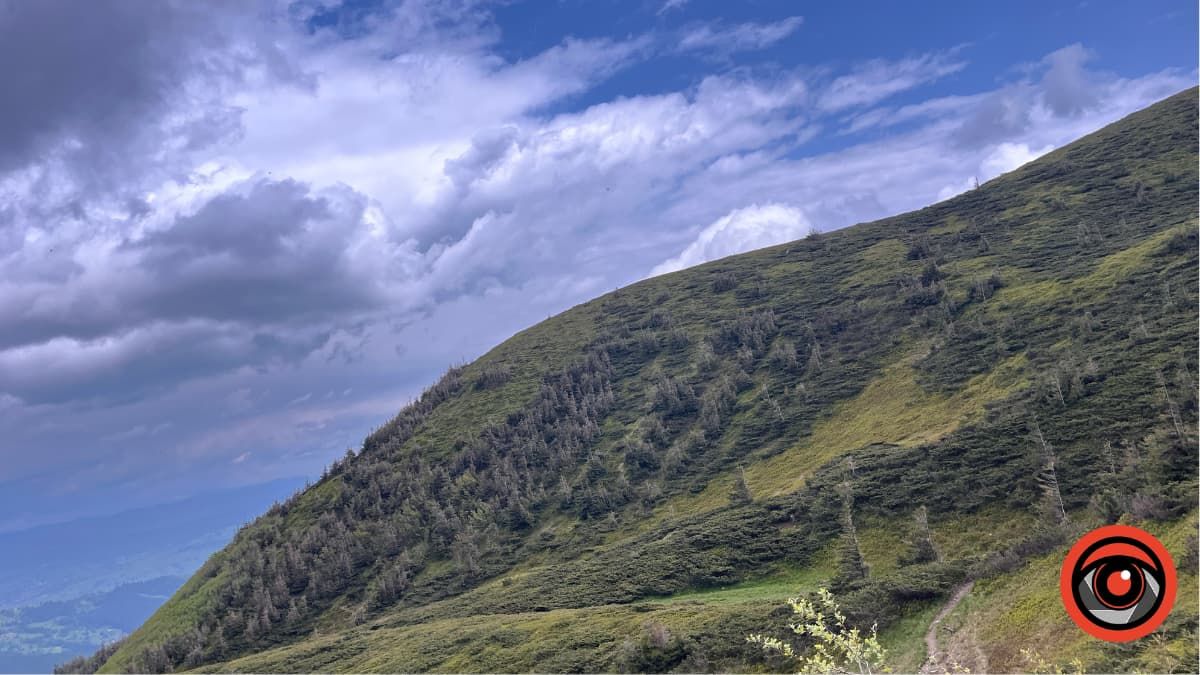 Дивовижні краєвиди Свидовця: фоторепортаж з мальовничих Карпат 9