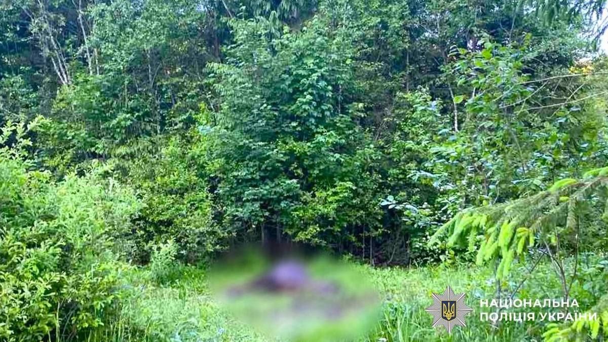 Невідомий застрелив коня на Надвірнянщині