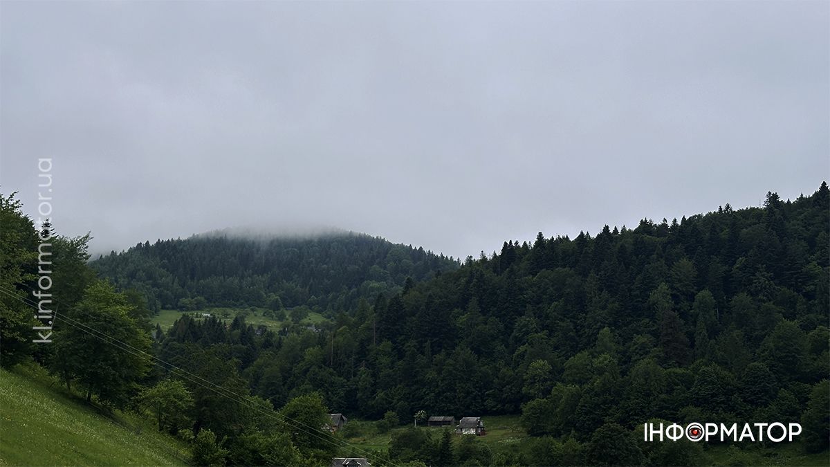 Карпатські обрії в червневому світлі: фоторепортаж з гір