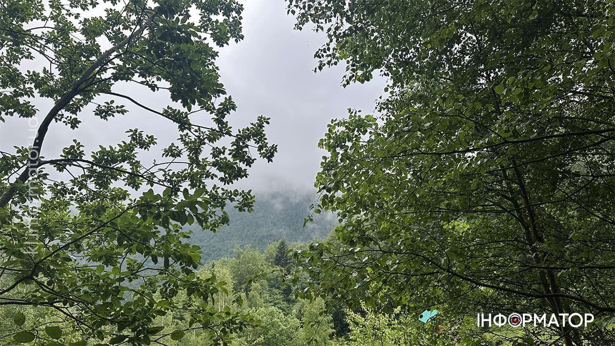 Карпатські обрії в червневому світлі: фоторепортаж з гір 7