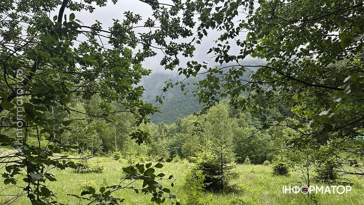 Карпатські обрії в червневому світлі: фоторепортаж з гір 6