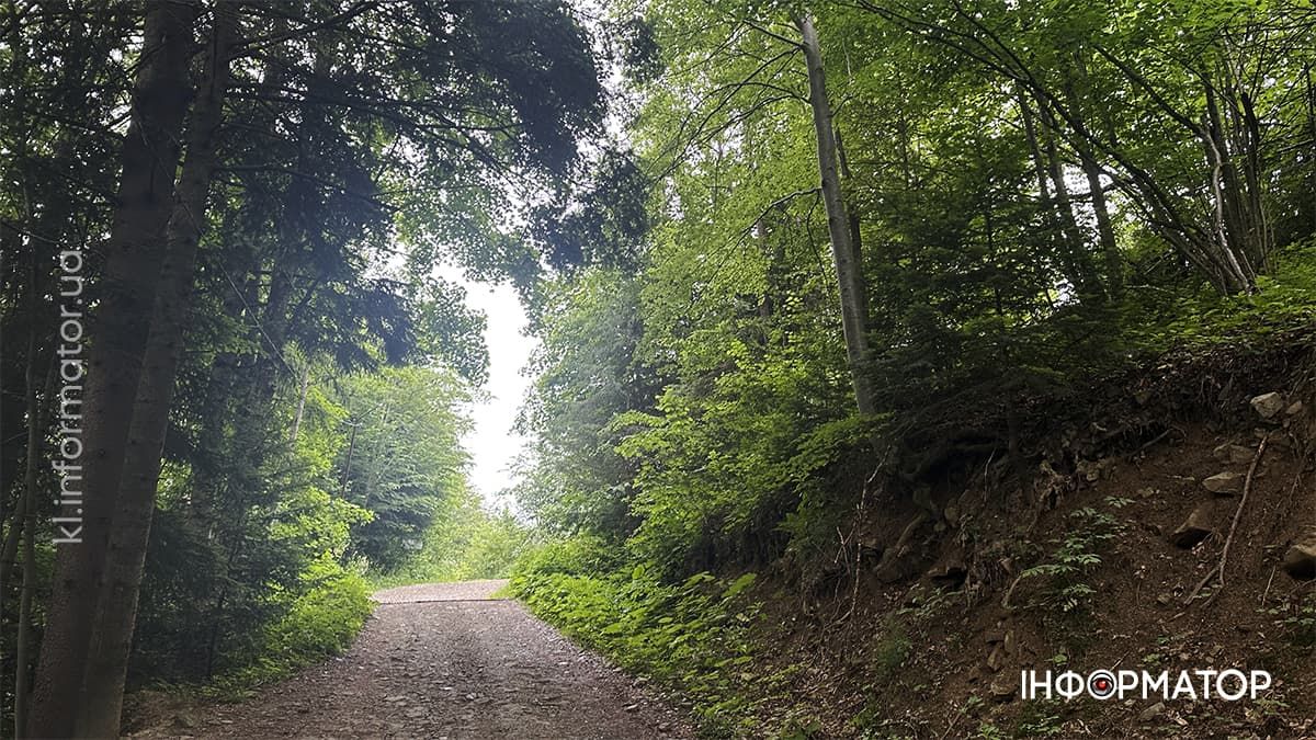 Карпатські обрії в червневому світлі: фоторепортаж з гір 4
