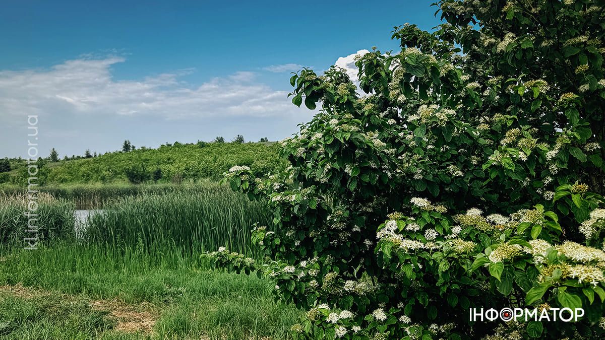 Червень у Коломиї: фото міста, які хочеться згадати 15