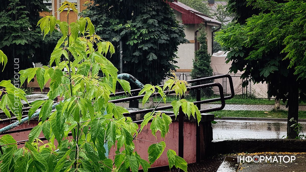 Червень у Коломиї: фото міста, які хочеться згадати 1