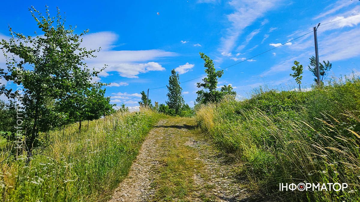 Червень у Коломиї: фото міста, які хочеться згадати 7
