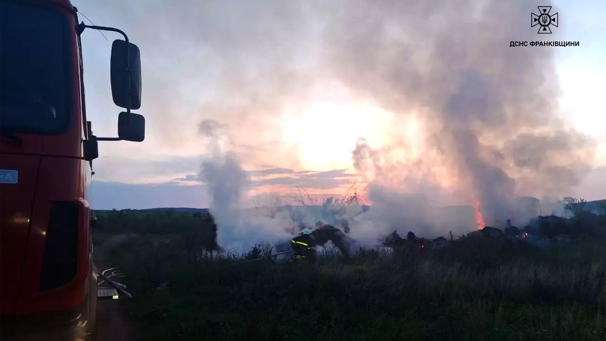 Палії знову активізувалися: на Прикарпатті побільшало загорянь сухої трави 1