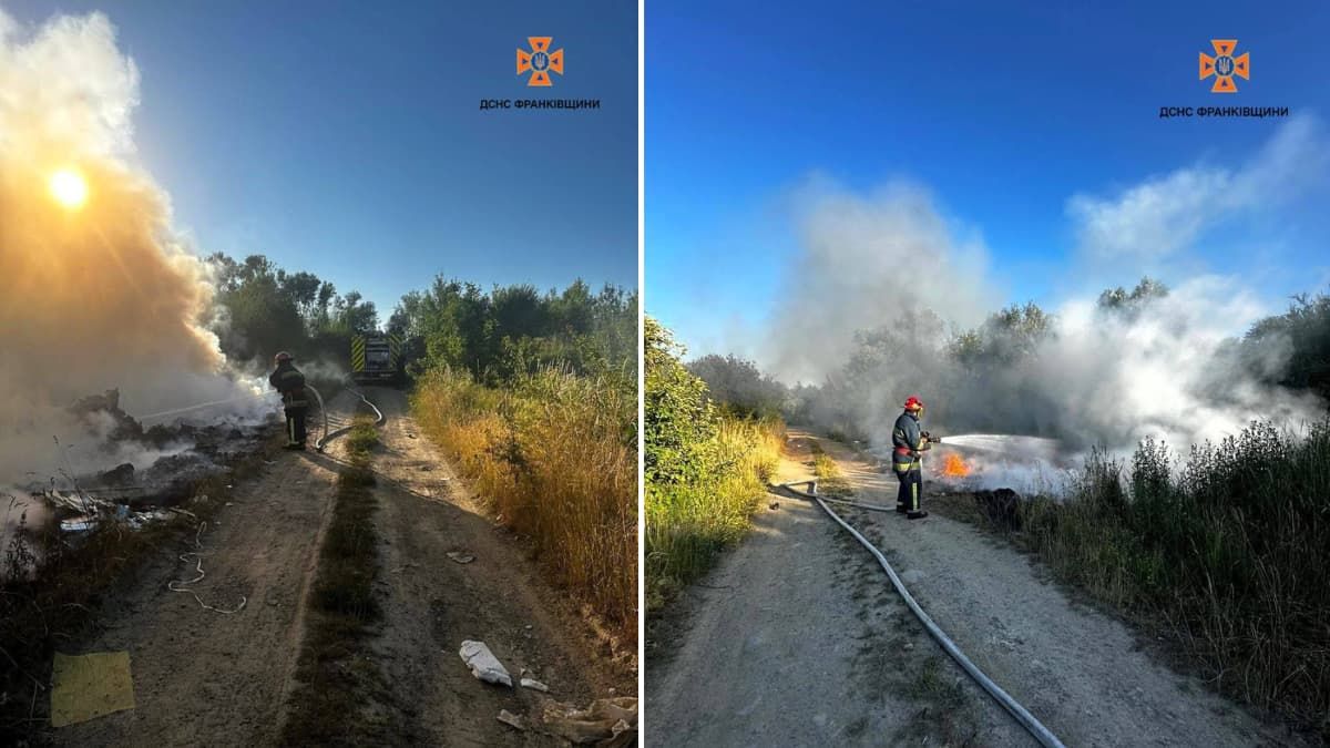 За добу на Прикарпатті 23 рази горів сухостій
