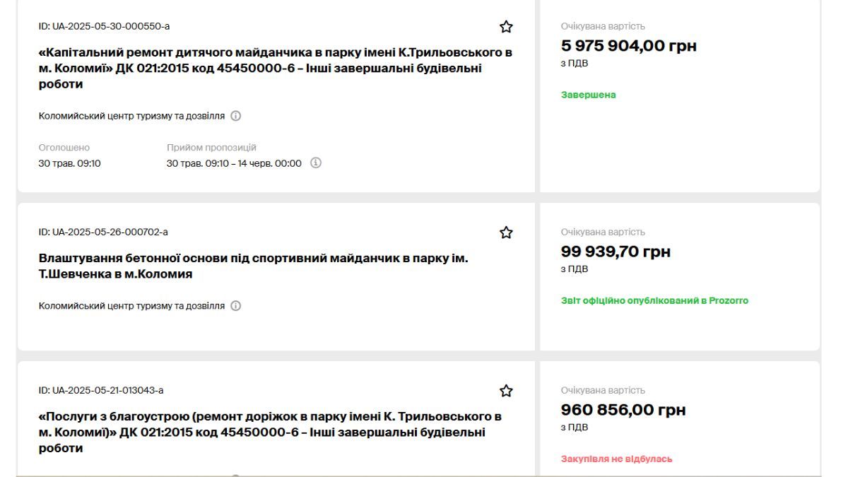 Влада Коломиї таки закупила дитячий майданчик за 6 млн грн, але зробити доріжки в парку безпечними для пішоходів не в силі 1