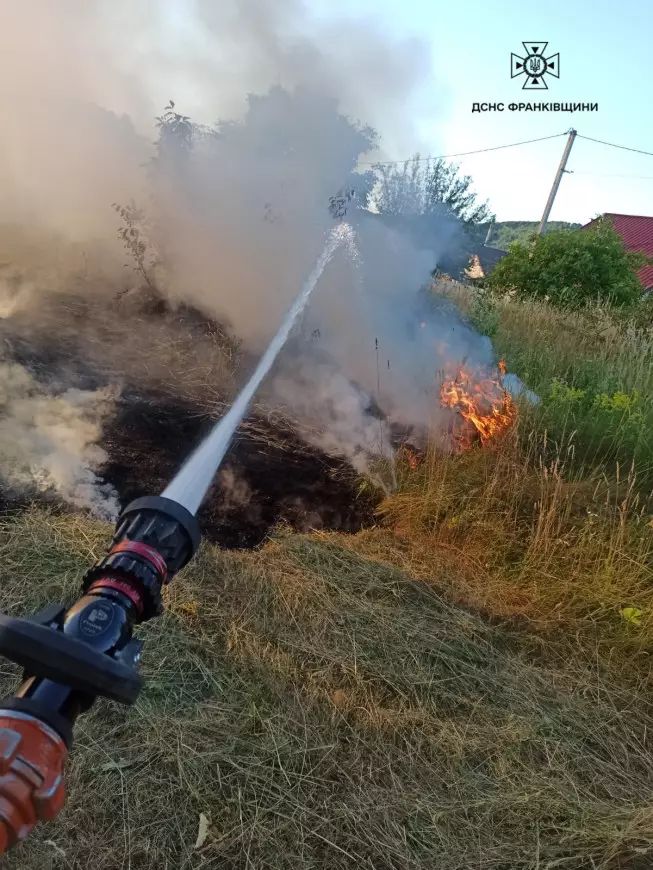 На Надвірнянщині через пожежу сухостою загорівся житловий будинок 3