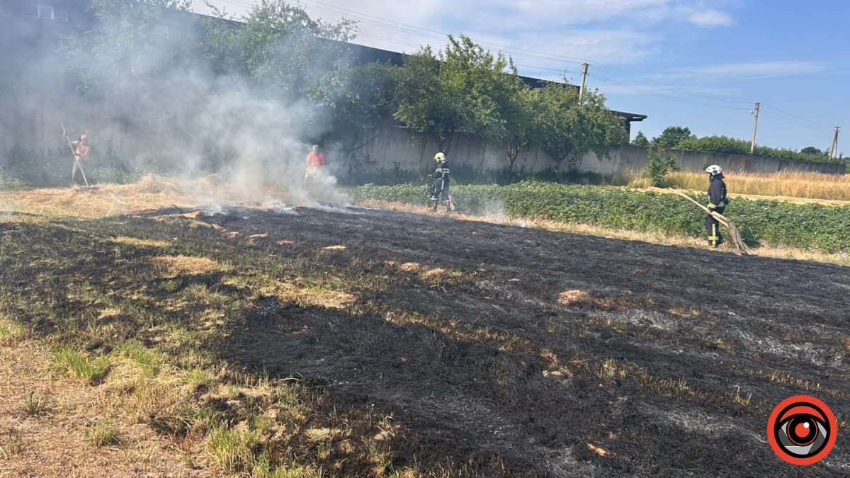 На Коломийщині знову палала суха трава