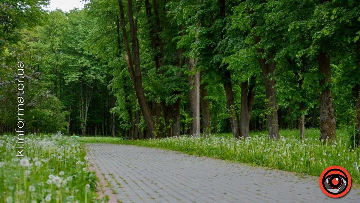 На озері у Коломиї планують облаштувати спортивний майданчик