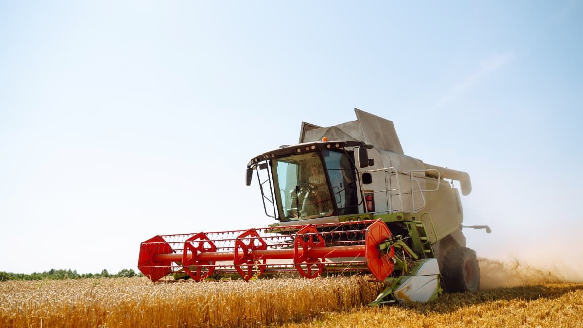 Календар городника на 7–13 липня: сприятливі й несприятливі дні