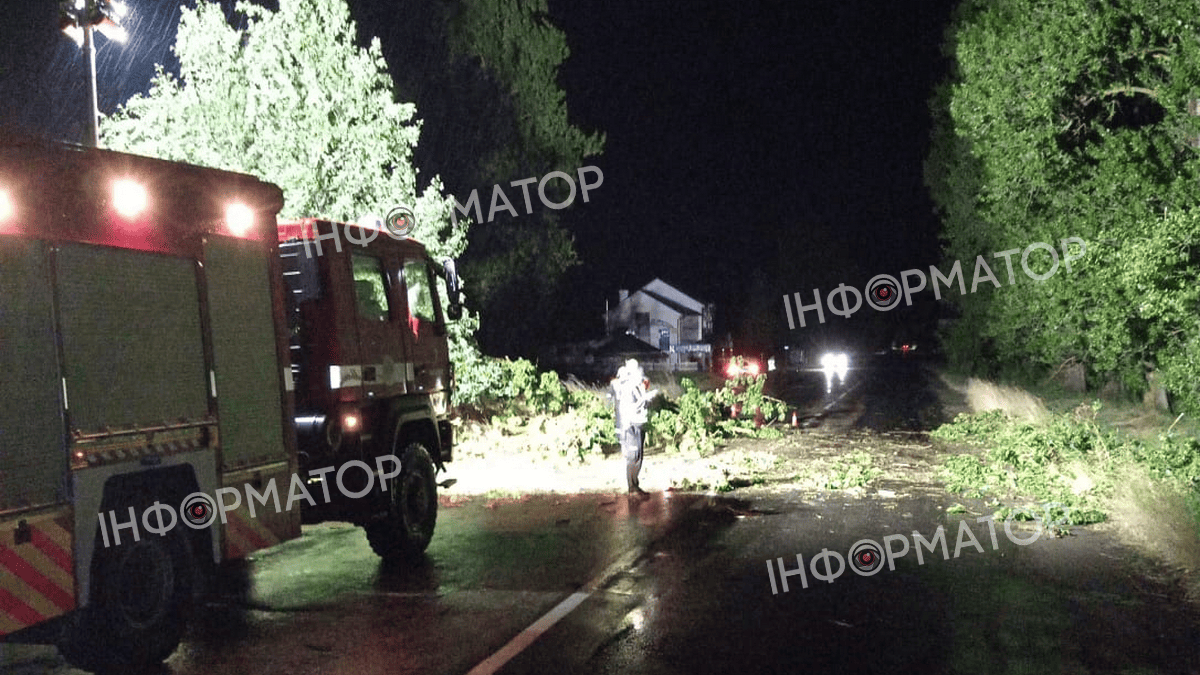 Знеструмлення, повалені дерева на дорогу та авто: наслідки нічної негоди на Прикарпатті