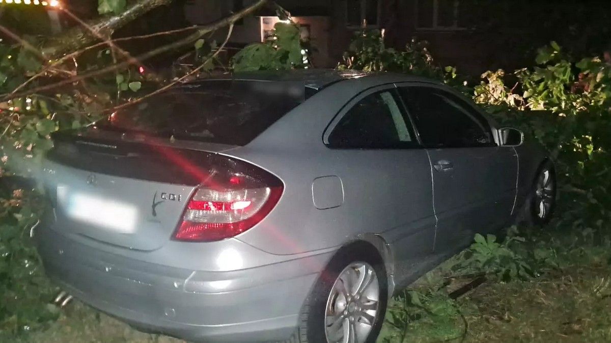 Знеструмлення, повалені дерева на дорогу та авто: наслідки нічної негоди на Прикарпатті 2