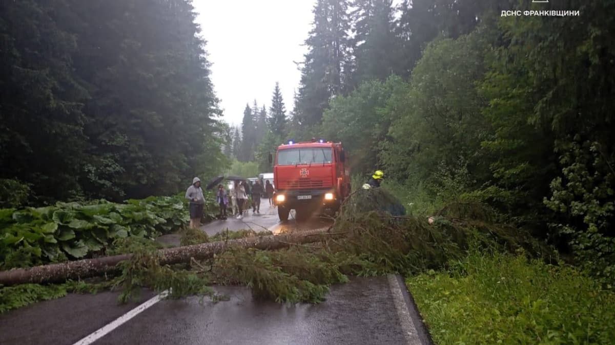 Негода на Прикарпатті: рятувальники ліквідовували наслідки у чотирьох районах