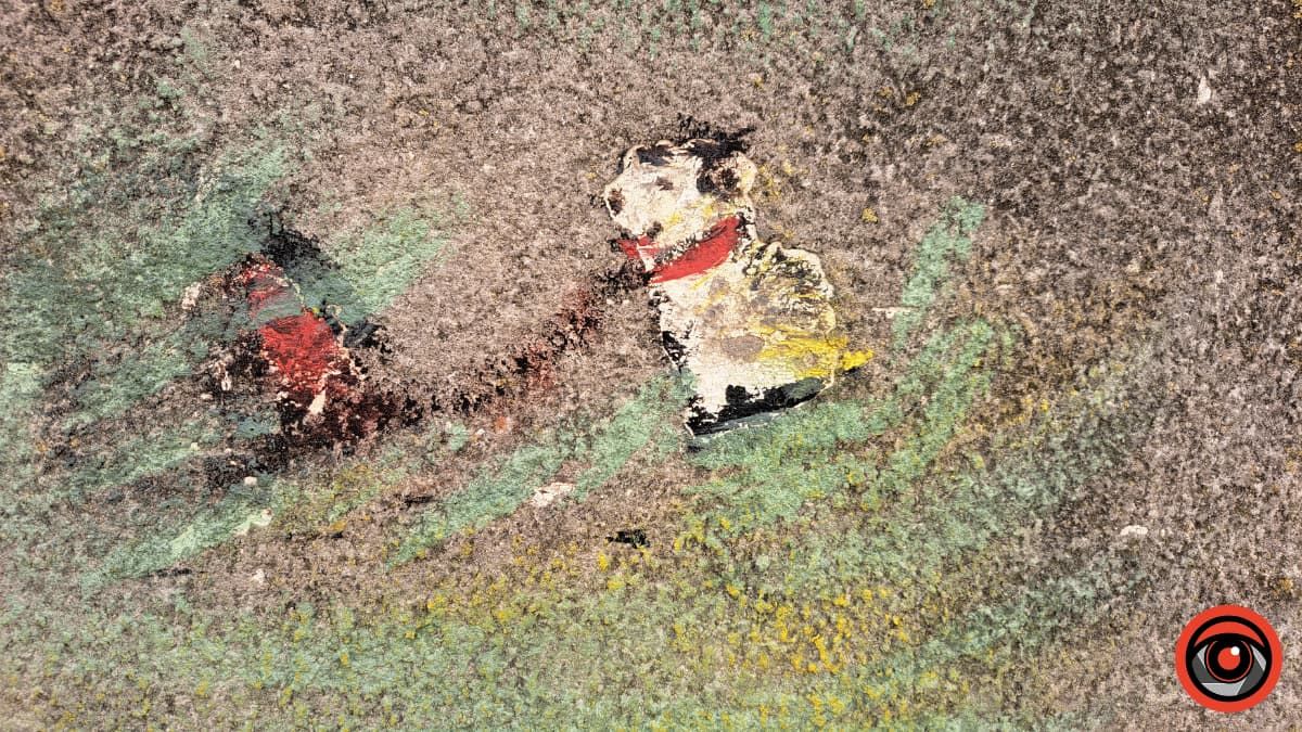 Арт-провулок по вулиці Сагайдачного: фоторепортаж від Інформатора 1