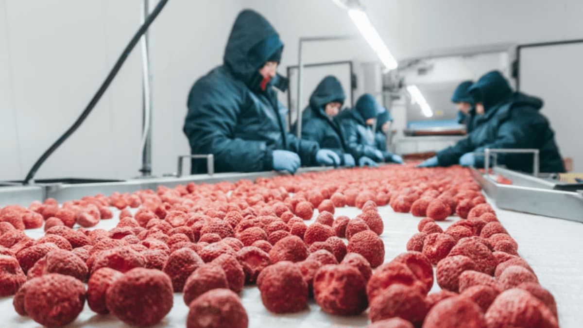 Три бізнеси з Коломийщини попали у список найперспективніших від Forbes Ukraine