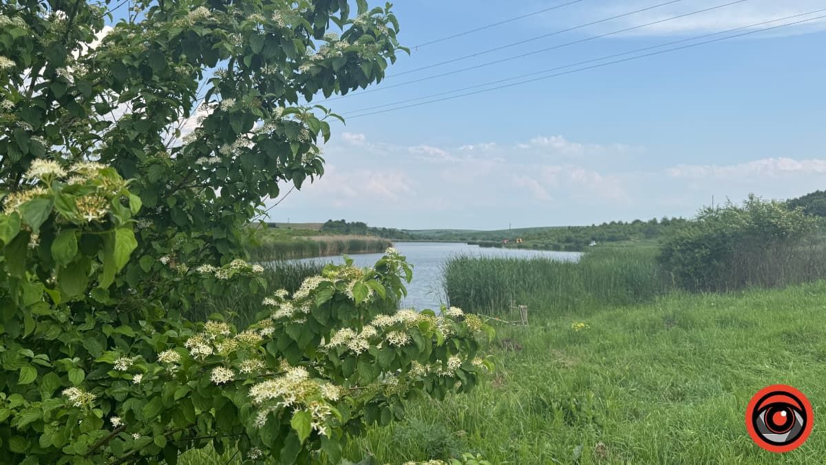 Погода в Коломиї 13 липня: сонячно