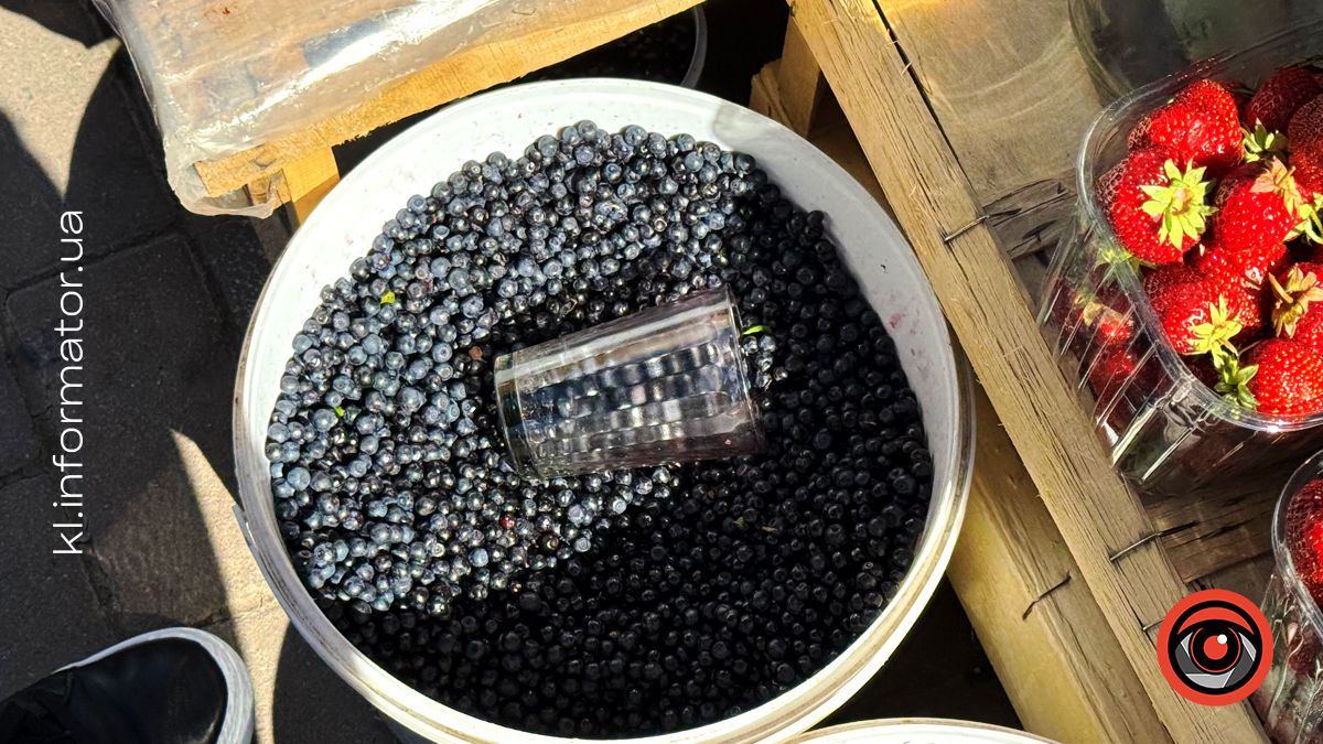 Скільки коштує чорниця на ринку в Коломиї в липні