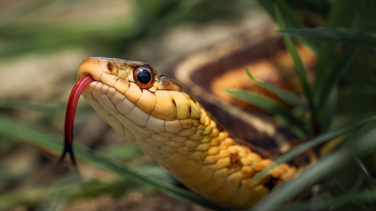 Цей день в календарі: свята, прикмети та іменини 16 липня