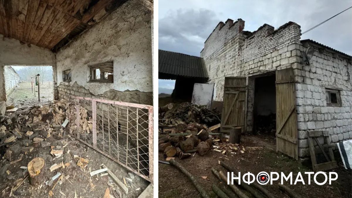 Свинарник у Товмачику пропонували взяти в оренду