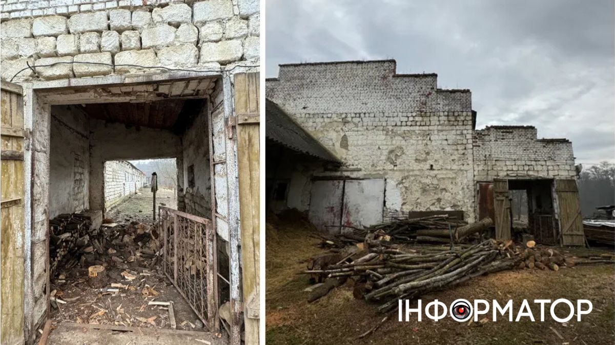 Свинарник у Товмачику пропонували взяти в оренду 1