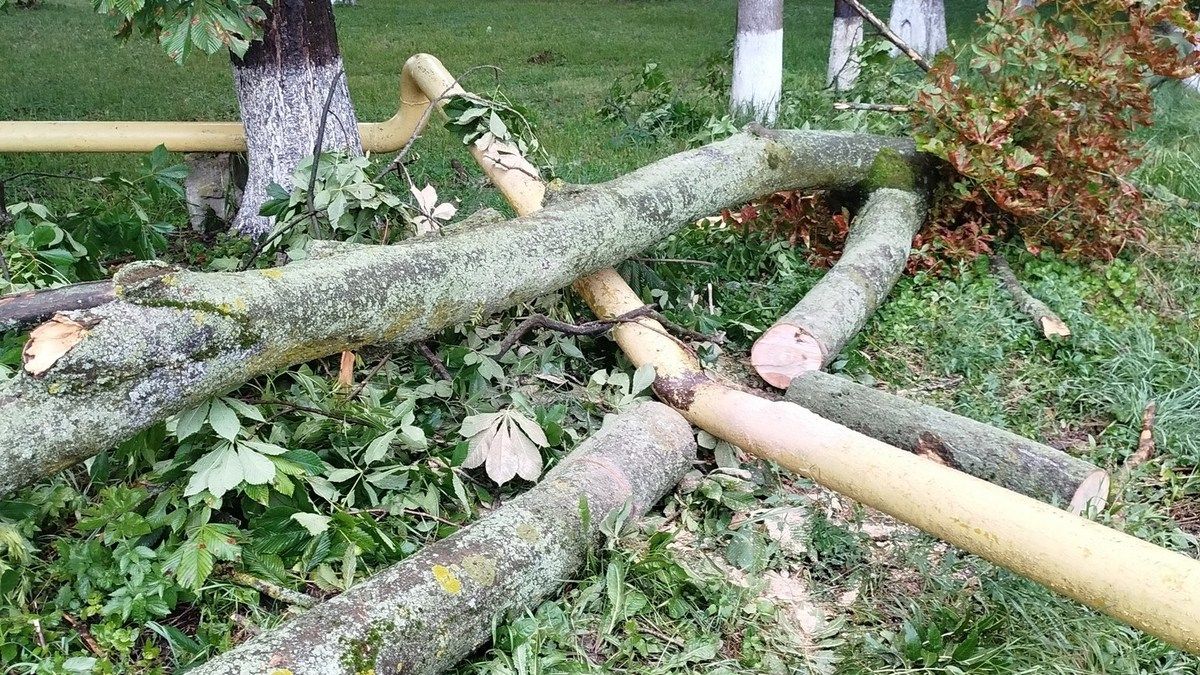 У Заболотові через падіння дерева стався витік газу