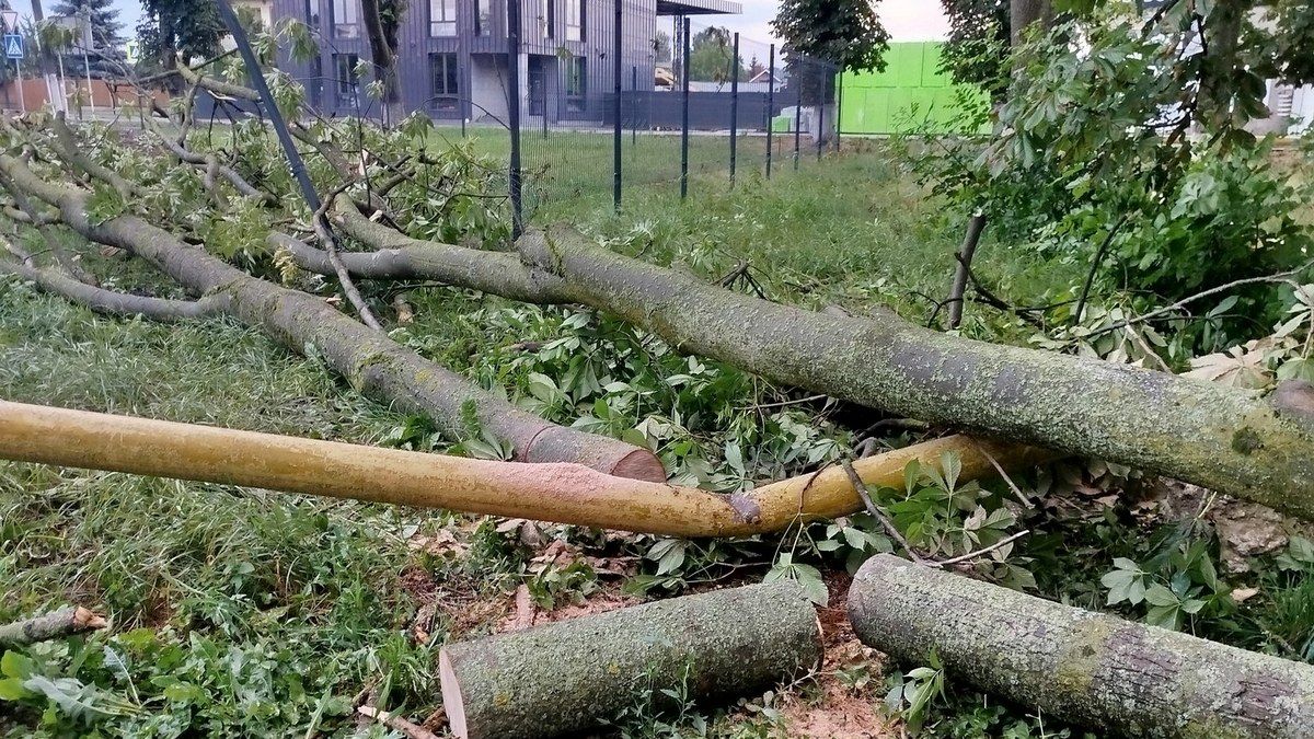 У Заболотові через падіння дерева стався витік газу 1