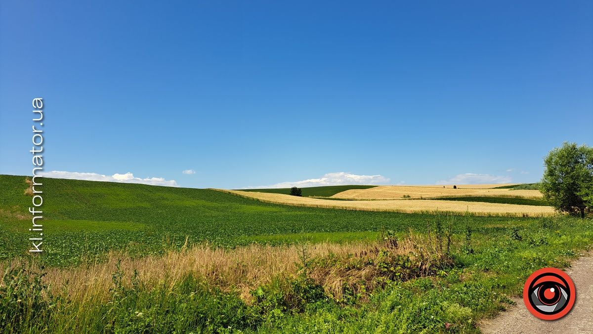 Посіяв сою на чужих гектарах: у Городенці засудили чоловіка