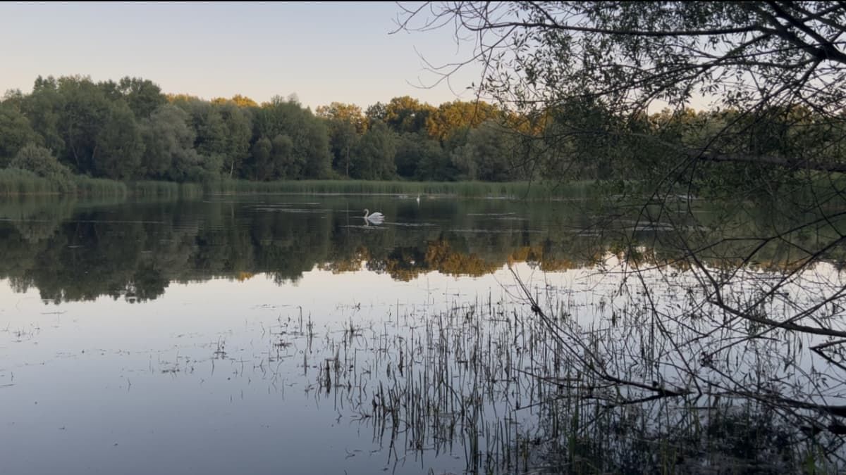Тиша, риба і гори: найкращі ставки Косівщини для риболовлі