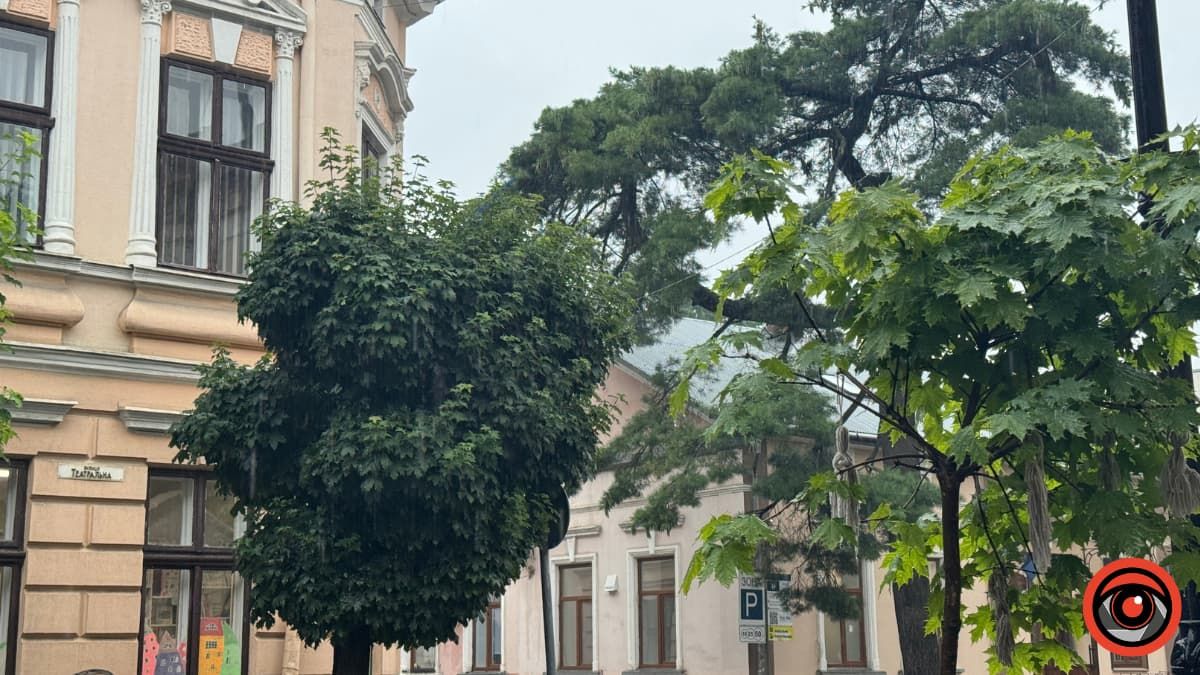 Танок дощу й літнього тепла: фоторепортаж з вулиць Коломиї 3