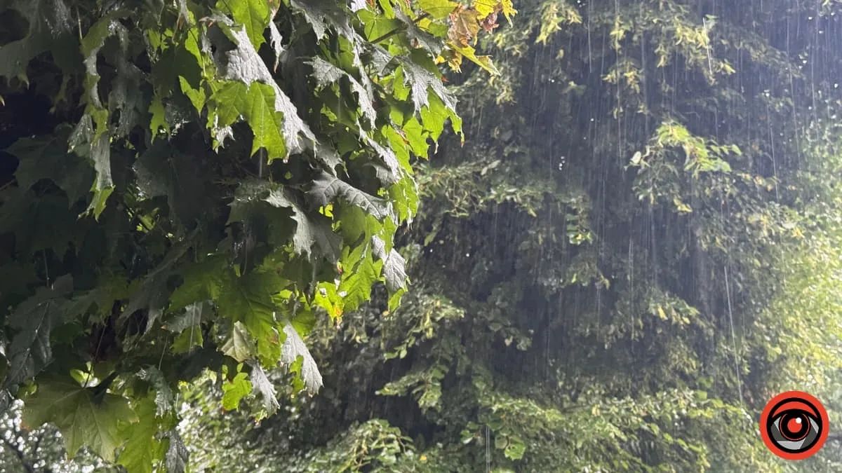 Танок дощу й літнього тепла: фоторепортаж з вулиць Коломиї 7