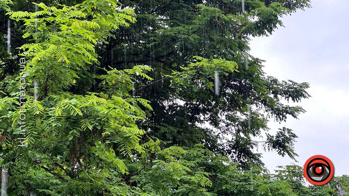 Танок дощу й літнього тепла: фоторепортаж з вулиць Коломиї 13