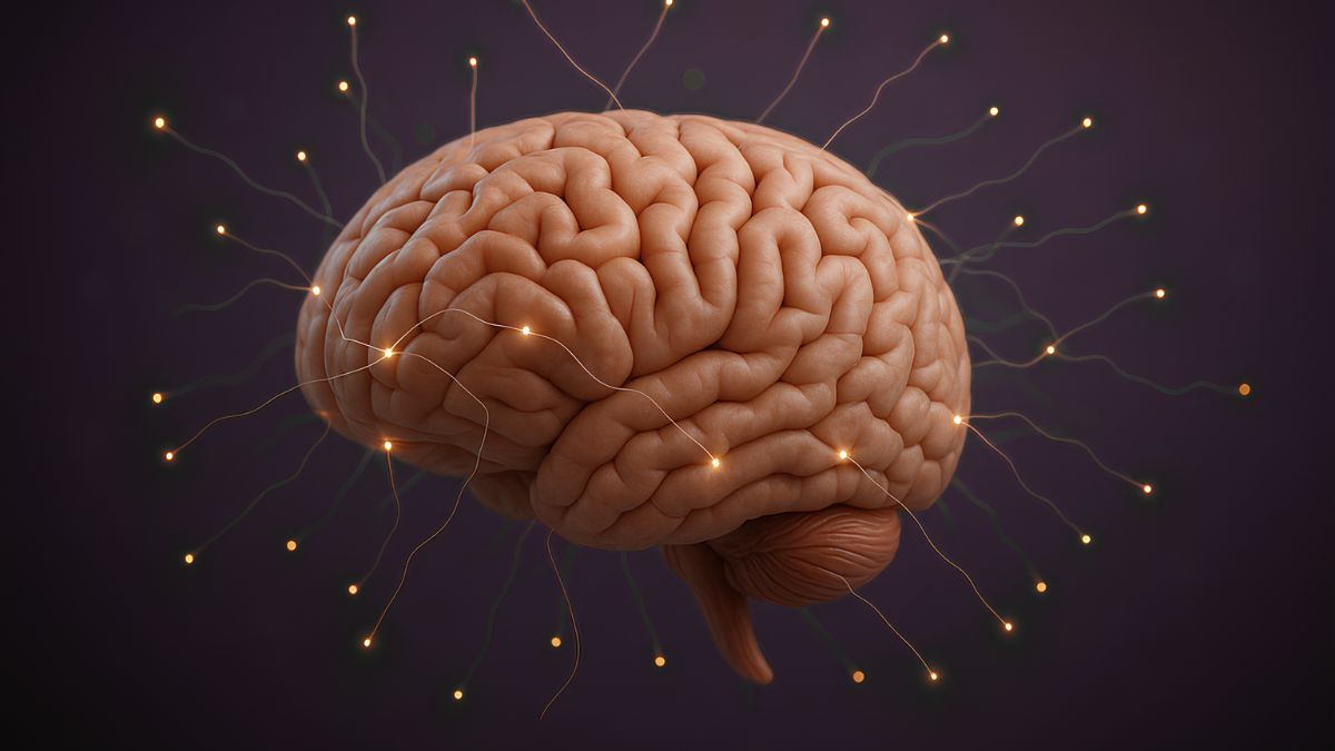 Цей день в календарі: свята, прикмети та іменини 22 липня