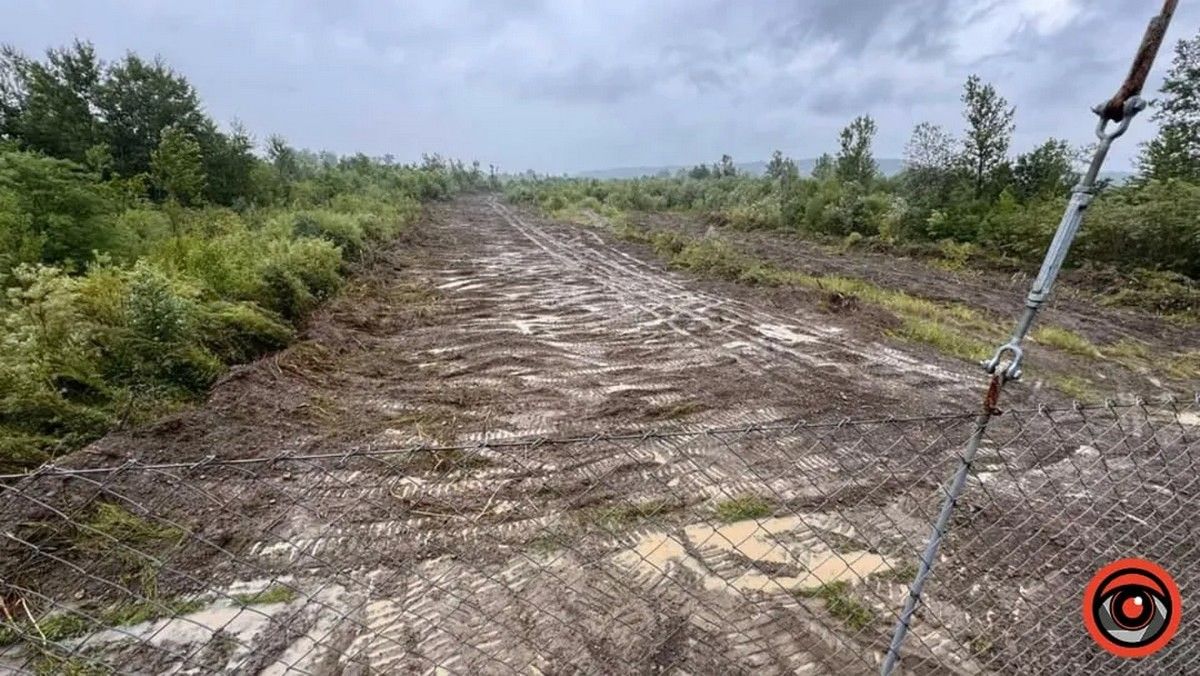 Вирівняти русло гірської ріки та укріпити береги за 12 млн задумала влада Коломиї