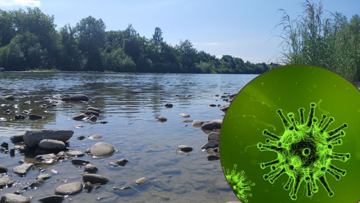 У водоймах Коломиї виявили порушення якості води. Чи можна купатися?