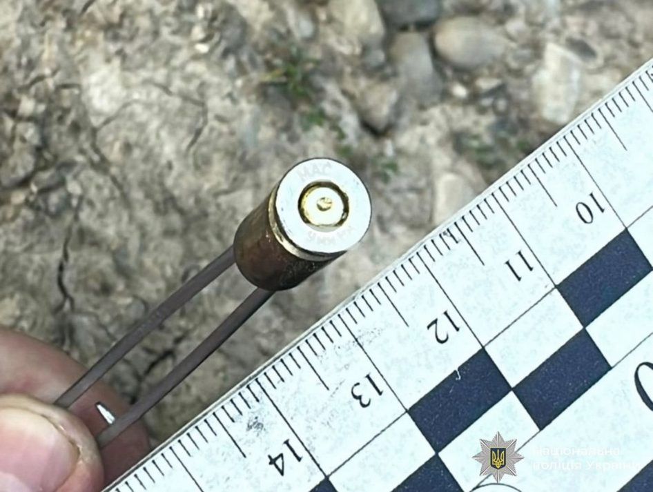 Молодик на Коломийщині влаштував стрілянину 3