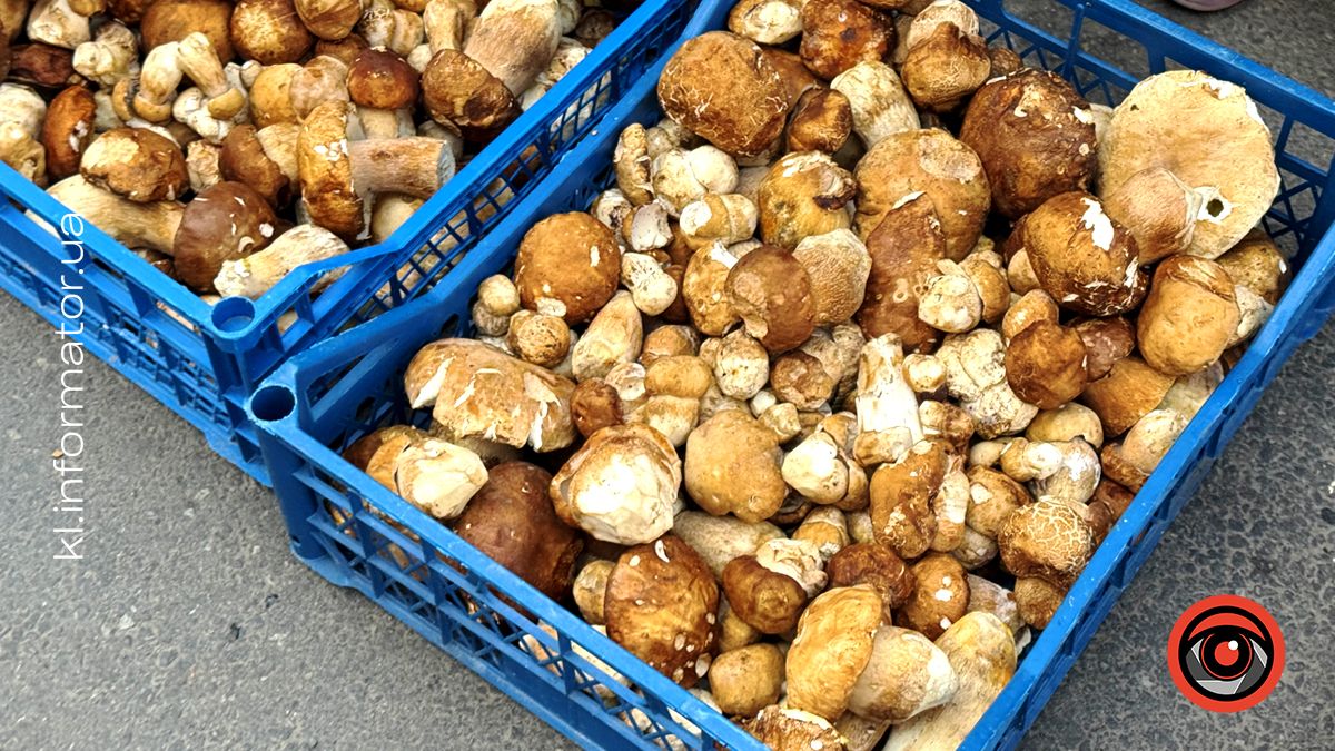 Літні білі гриби: які ціни на ринку в Коломиї 1