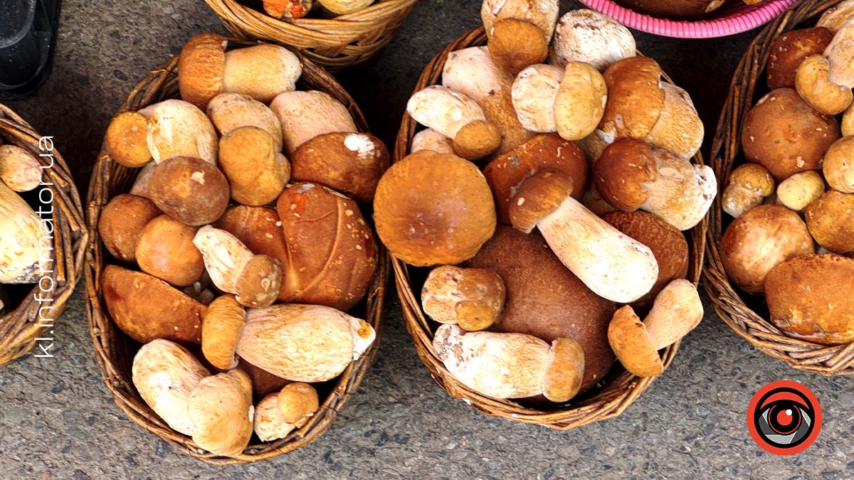 Літні білі гриби: які ціни на ринку в Коломиї 2