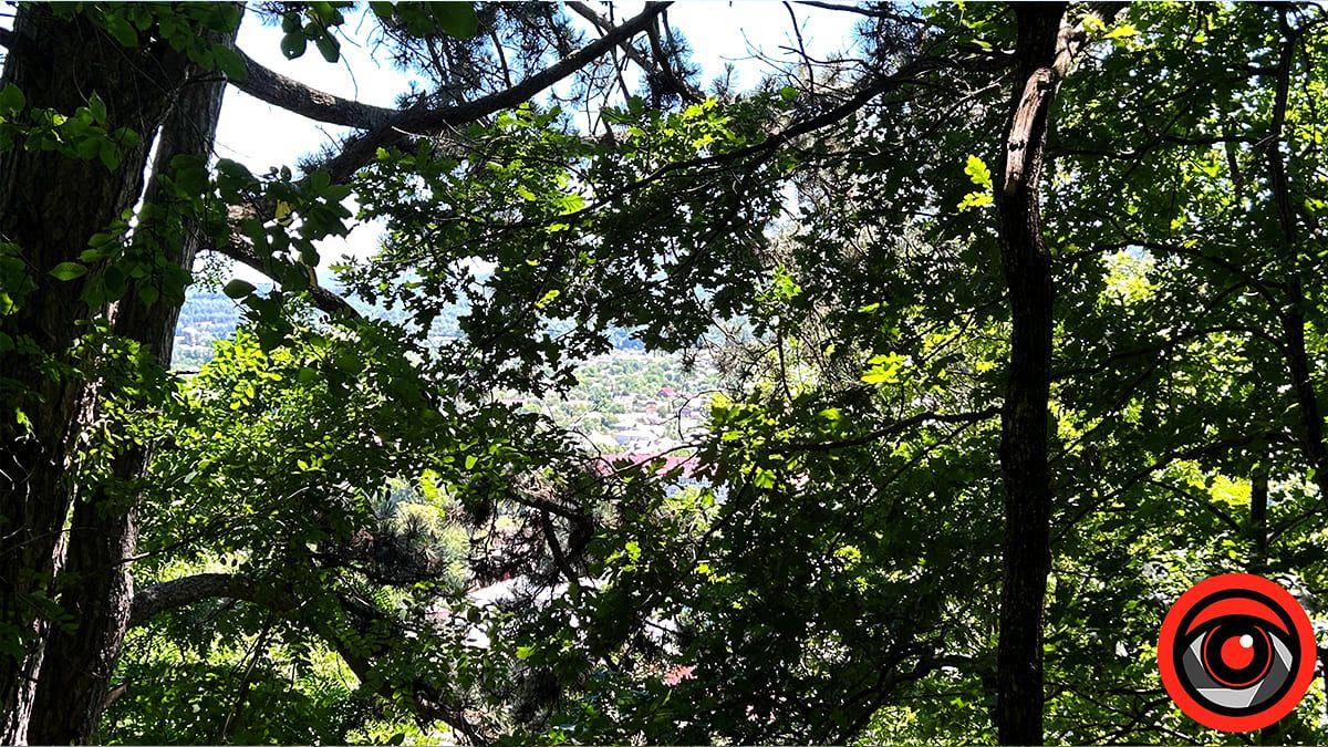 Косів, який ми любимо: місто кольорів, ремесел і тиші між горами 10