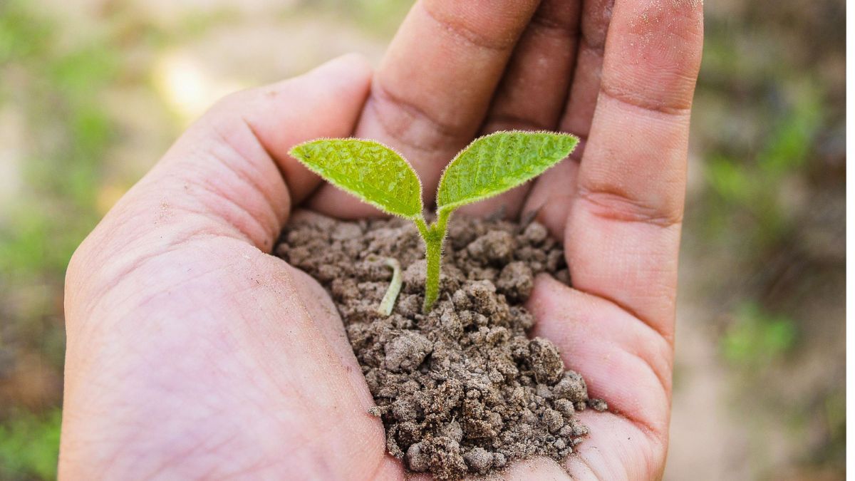 Цей день в календарі: свята, прикмети та іменини 28 липня